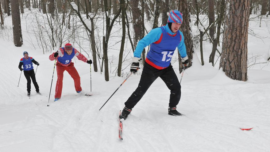 Лыжные гонки