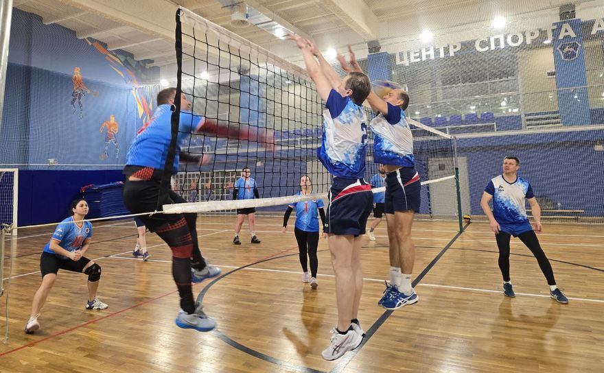 Волейбольный матч