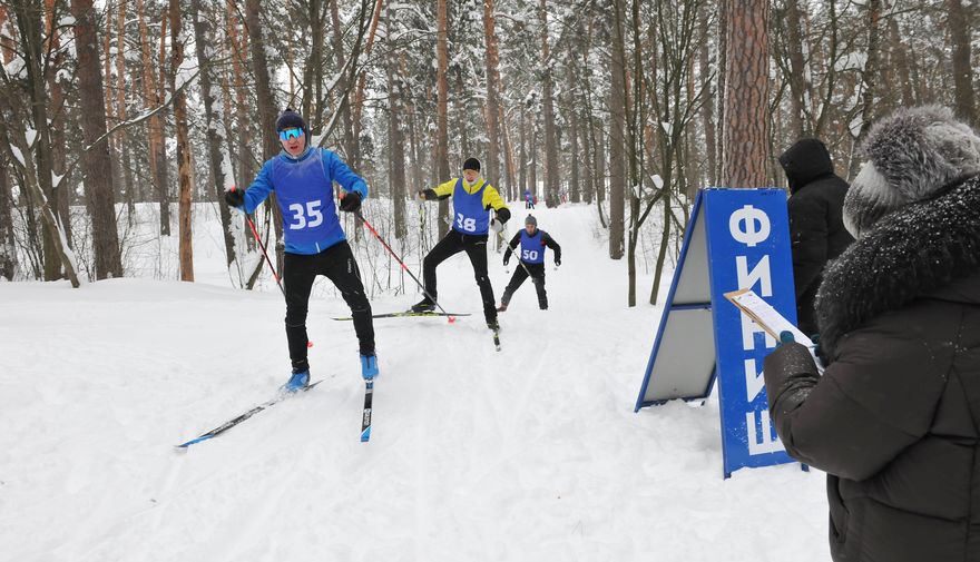 Лыжные гонки