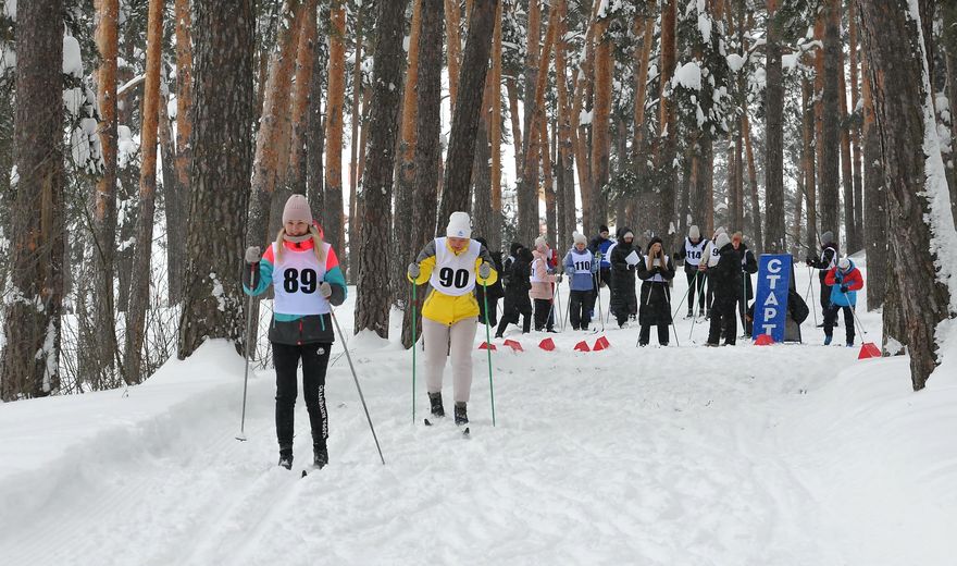 Лыжные гонки