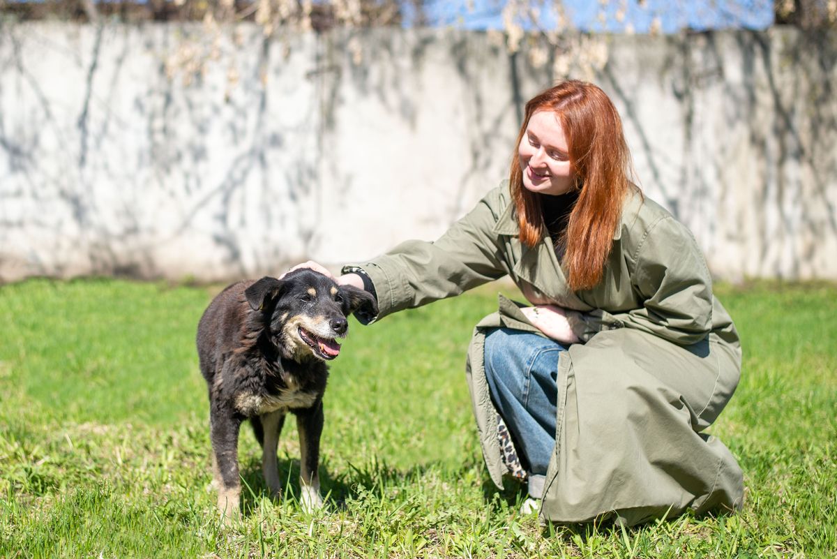 Собака Фрося