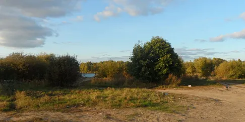 Более 1 860 деревьев и кустарников будет высажено вдоль озера по улице Пермякова в Нижнем Новгороде