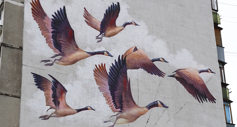 Дом на улице Комсомольской превратился в арт-объект