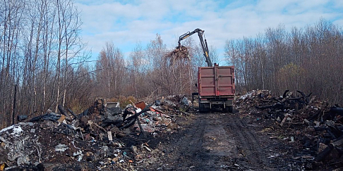 Началась ликвидация несанкционированной свалки у поселка Новое Доскино
