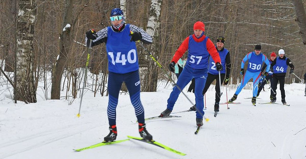 От Стригина до Южного полюса