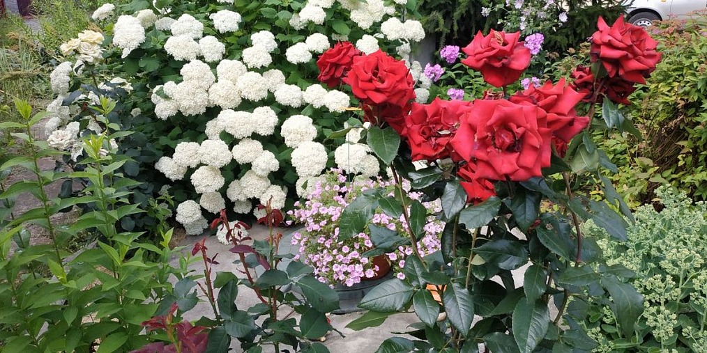 Конкурс по благоустройству придомовых территорий «Я здесь живу, я здесь творю» стартовал в Автозаводском районе Нижнего Новгорода