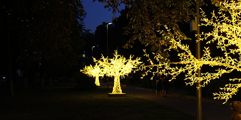 Светодиодные деревья установлены на дорожке от площади им. И.И.Киселева к Автозаводскому парку