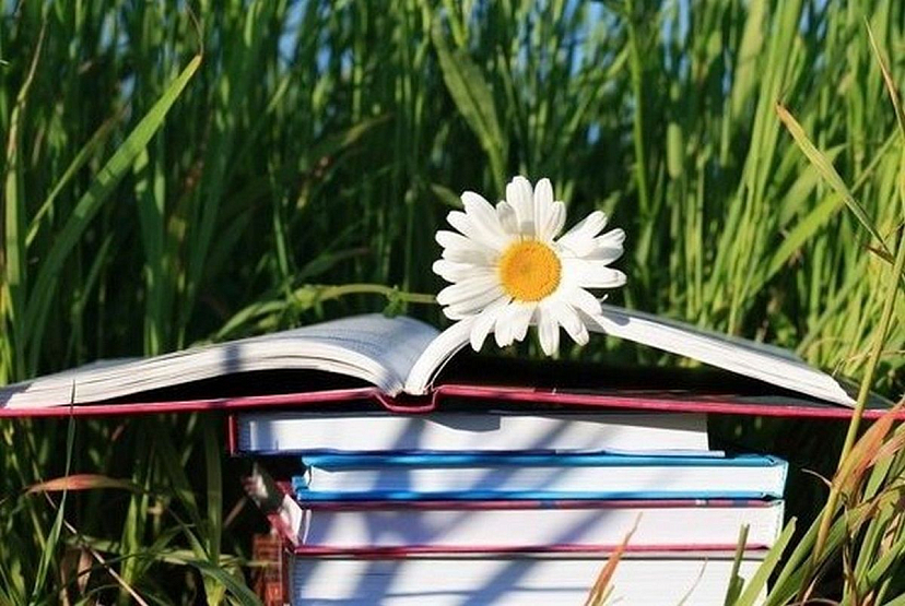 Лето начинается с книги