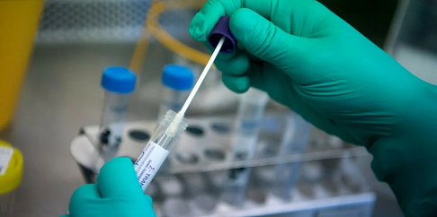 13 новых случаев COVID-19 выявили в Нижегородской области