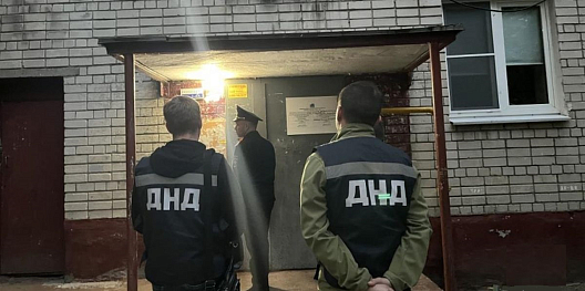 В Автозаводском районе полицейские и представители ДНД проверили семьи на профилактическом учете