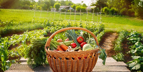 Успей принять участие во флешмобе, посвященном дачному сезону!