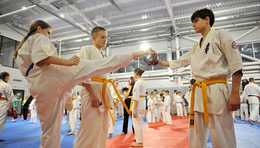 Центр спортивных единоборств построят в Ликино-Дулеве по программе «Новый социальный вектор»