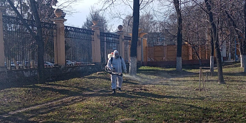 В Автозаводском парке и парке 777-летия Нижнего Новгорода началась противоклещевая обработка территории