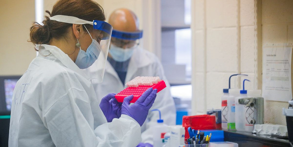 Штамм коронавируса «Цербер» может стать доминирующим в России