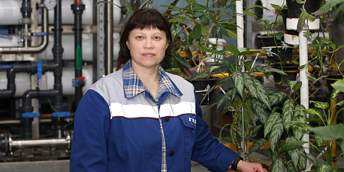 В царстве фиалок