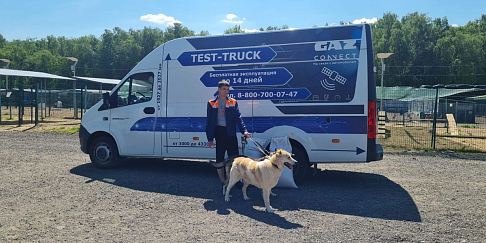 Дилер Горьковского автозавода оказал помощь московским зооприютам в рамках акции #ГАЗпомогает (ВИДЕО)