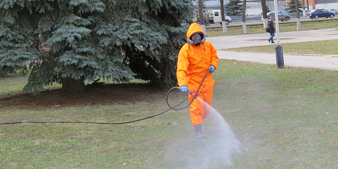 Парки и скверы Автозаводского района будут обработаны от клещей и грызунов