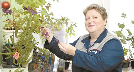 Красоту вырастим сами