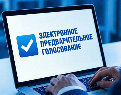 Жителей Нижегородской области в 2026 году ожидает масштабная избирательная кампания федерального и регионального уровня