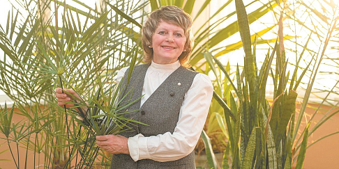 Университетские тропики