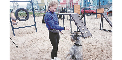 В Автозаводском районе открылись три площадки для выгула и дрессировки собак 
