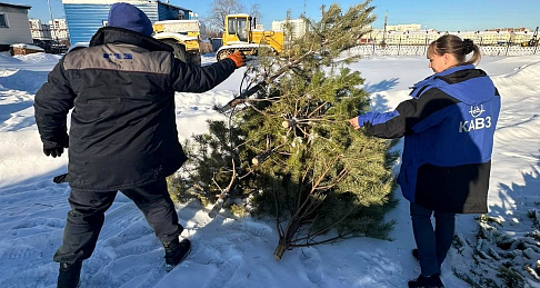 Курганский автобусный завод подключился к общероссийскому ЭКОфесту «Елки, палки и щепа»