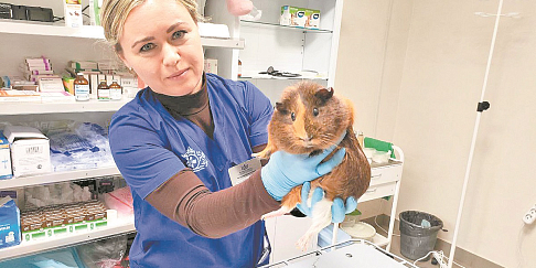 В Автозаводском районе открылся второй государственный ветеринарный кабинет - в доме №9 по проспекту Бусыгина