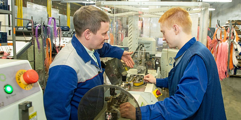 Новый праздник - День наставника - Россия впервые отметит 2 марта