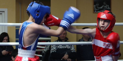 Боксер и педагог