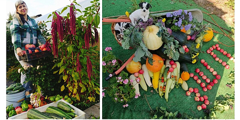 Подведены итоги фотоакции «Дача удачи»