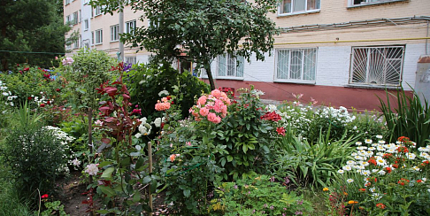 Продолжается прием заявок на конкурс «Я здесь живу, я здесь творю!»