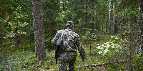 Каршеринг и охоту запретили в Нижегородской области