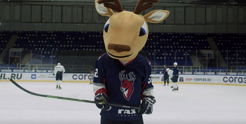 Талисман нижегородского ХК «Торпедо» Торрик борется за звание лучшего в КХЛ