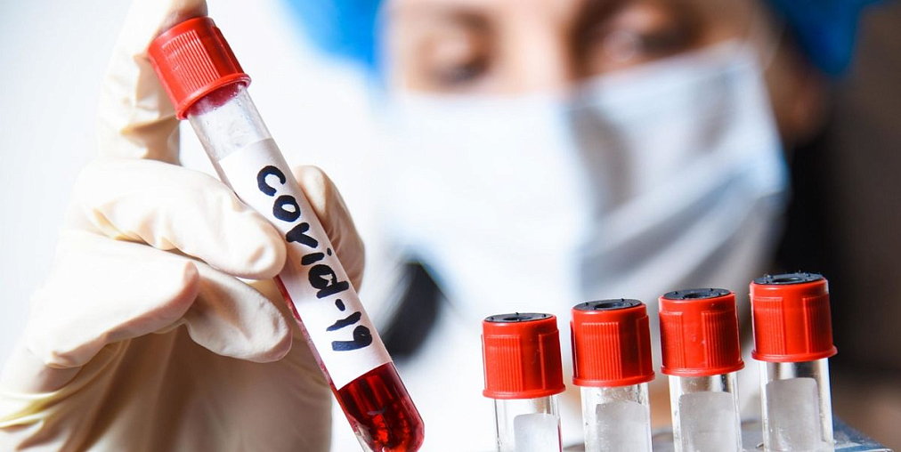 В поисках места под солнцем