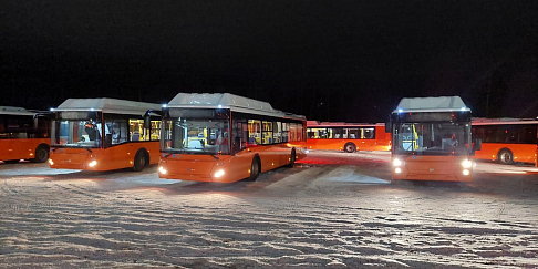32 новых «ЛиАЗа» получил Нижний Новгород по нацпроекту «Безопасные качественные автомобильные дороги»