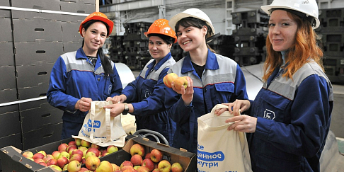 Яблоки для заводчан 