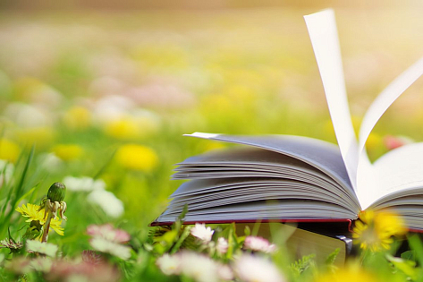 Середина лета: мечты, творчество, книги