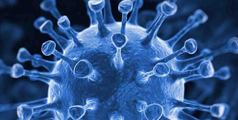 Основные пути заражения коронавирусом